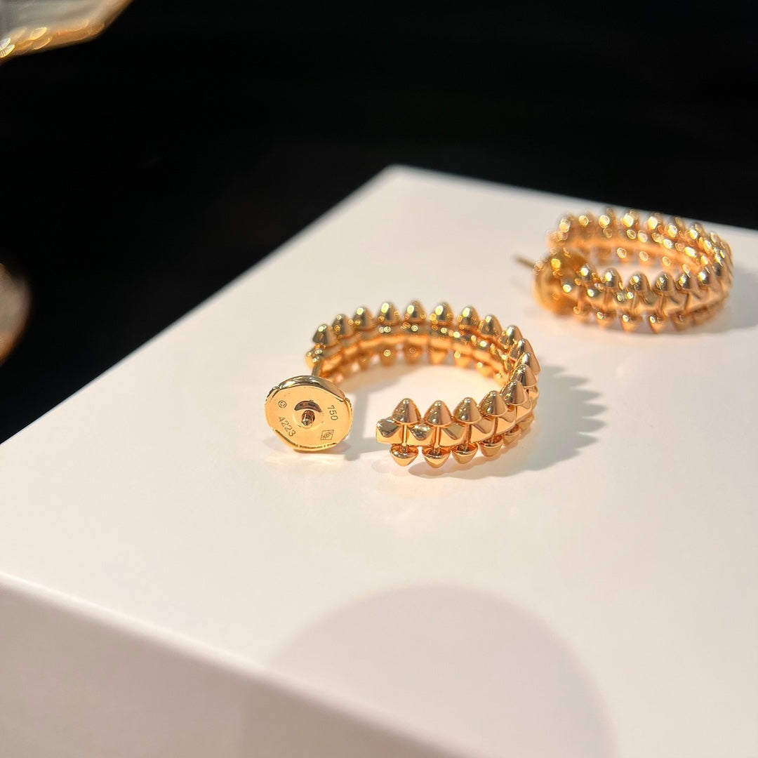 [Triumph Jewelry]CLASH EARRINGS