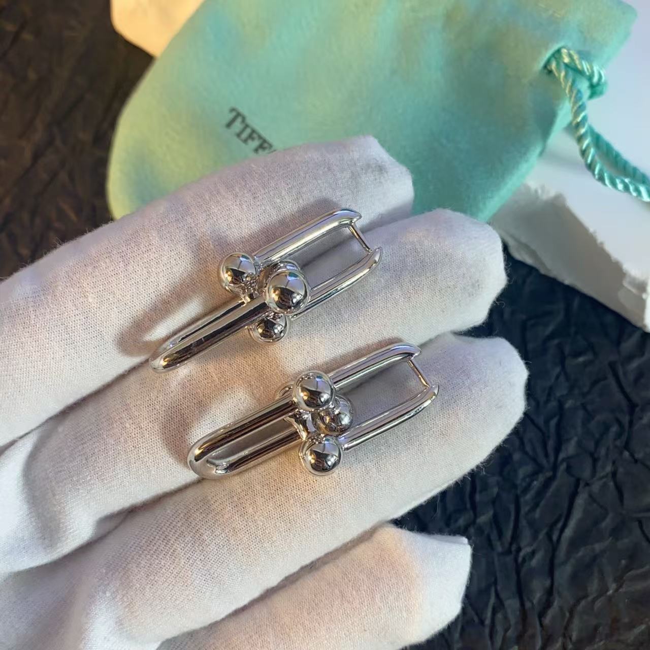 [✨Triumph Jewelry💎]HW SERIES EARRINGS